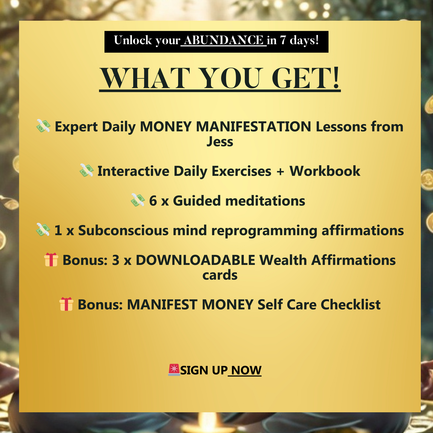 Manifest Money Masterclass